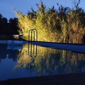 B&B Giovannarolla Green House